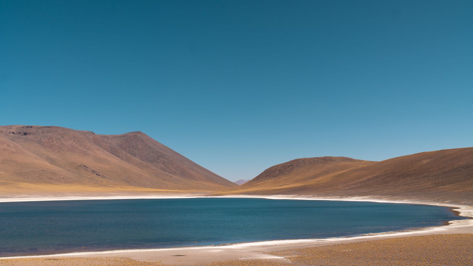 Laguna en el desierto de Atacama