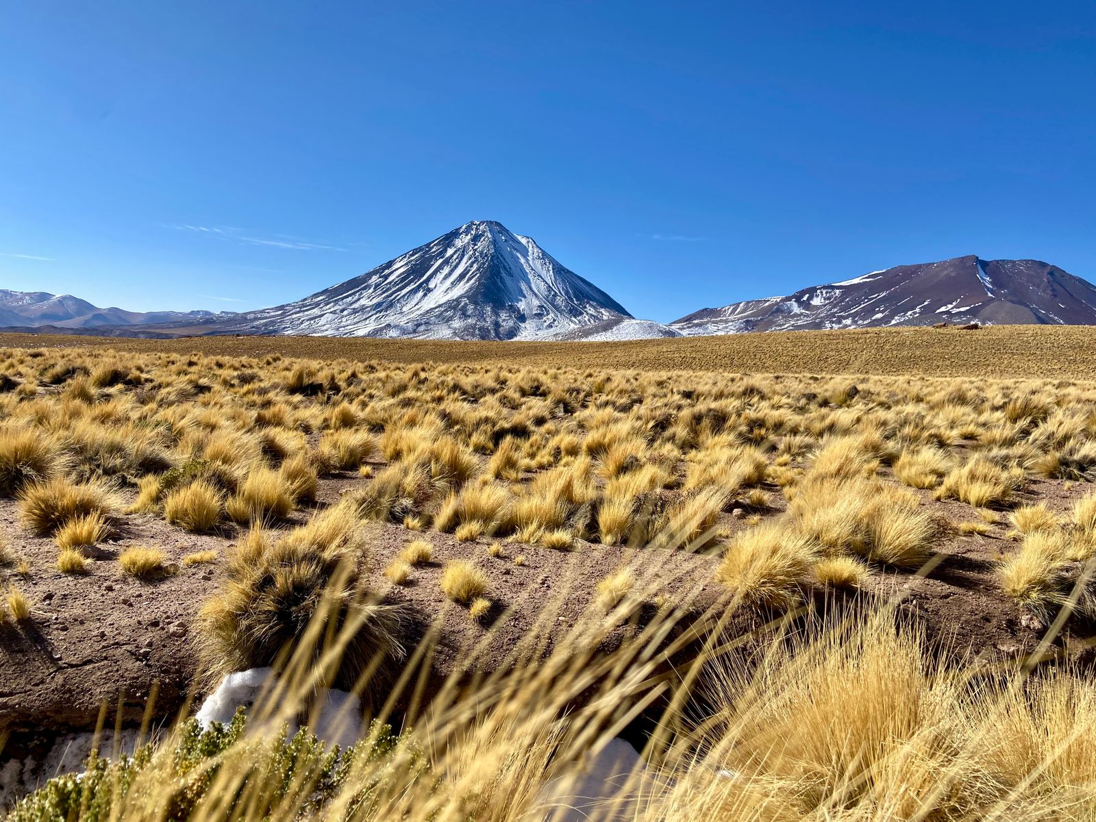 Pampa y volcán Licancabur en el desierto de Atacama